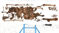 Ancient human remains found in Northern Ireland