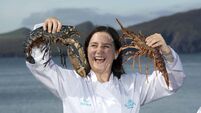 Delve into delicious Irish food experiences 