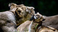 A selection of images chosen by the Irish Examiner picture desk