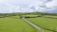 206-acre Kildare stud farm for €4.7m set for October auction