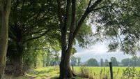 €1.8m sought for 100-acre grassland farm in South Tipperary