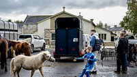 A selection of images chosen by the Irish Examiner picture desk