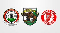 We looked at every GAA crest in the world — here’s what we found