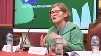 General Election 2024: The Irish political system is 'stacked in men's favour'