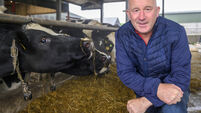 Election 2024: Farming — 'There is genuine fear out there among farmers... Trust is gone'
