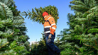 A selection of images chosen by the Irish Examiner picture desk
