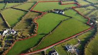 35-acre Kilkenny grassland farm for March auction