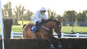 <p>Allegorie De Vassy and Paul Townend win for trainer Willie Mullins at Fairyhouse. Picture: Healy Racing</p>