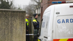 <p>Following the post-mortem, gardaí has now commenced a murder investigation. Picture: Patrick Browne</p>