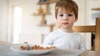 Portrait of Caucasian toddler boy with a plate with food in front of him