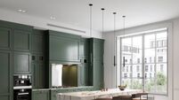 3D rendering of simple kitchen design with green wall