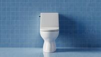 a background with a toilet on a Solid color background, 3d rendering