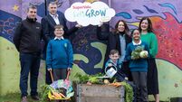 Tots to Teens: Nurturing sustainable appetites with Let's Grow