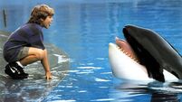 Richard Collins: No animals eligible for Oscars even if they are the real stars