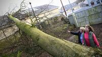 Michael Moynihan: The number of days without sun in Dublin didn’t break any records. But it’s news?