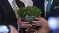 US President Donald J. Trump meets with Irish Taoiseach Leo Varadkar in Washington, DC, USA