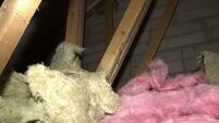 Property advice: My attic flooring is wet. Why?