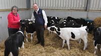 Shine Original, still the best on Welsh farms