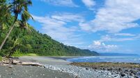 Learning from an awe-inspiring immense ecosystem that has returned to life