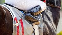 Jockey on Horse at Race