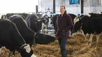Women in Ag: Go out and seize all opportunities you can