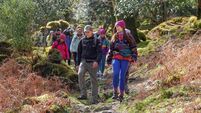 What's in store at this year’s Wander Wild festival in Killarney