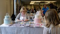 Watch: Sugarcraft creations impress at Cork show