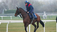 Shane McCann with Brighterdaysahead 10/3/2025