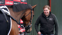 Dan Skelton Stable Visit - Lodge Hill - Friday February 21st