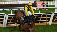 Cheltenham Racing Festival - Day One