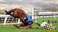 Cheltenham Festival 2025 - Champion Day - Cheltenham Racecourse