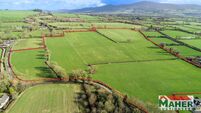 Up to €22,000/ac expected for top-class Golden Vale land parcel