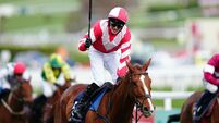 Cheltenham Festival 2025 - Style Wednesday - Cheltenham Racecourse