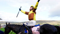 Cheltenham file photo
