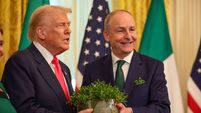 Watch: Trump praises US and Ireland's friendship after shamrock gift