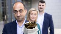 Unlocking the potential of seaweed farming as a nature-positive sector