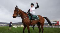 Cheltenham Racing Festival - Day Three
