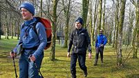 St Patrick was a great hiker — here's how to follow in his footsteps and walk more