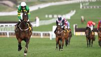 Fact To File's seamless Ryanair domination fires up Gold Cup debate again