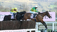 A Champs no more as 70,000 Cheltenham shoulders slump in unison after Gold Cup upset