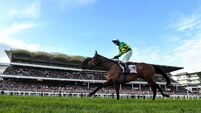 Cheltenham Racing Festival - Day Four