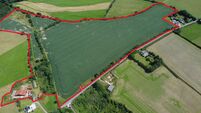 36-acre quality East Cork holding already under offer