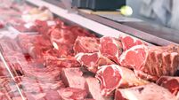 Meat displayed for sale in shop