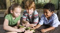 Kids touching snake