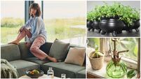 Wish List: Supermodel sofas and seven other home design ideas