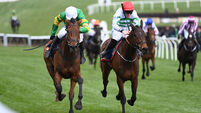 Cheltenham report card: A for drama, room for improvement elsewhere