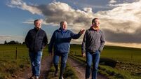 'Ireland's biggest dairy farm' in east Cork to be repurposed for solar energy