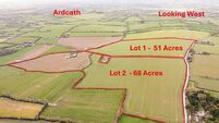 A crisp bit of Irish cultural history? Original Tayto farm for sale in Co Meath