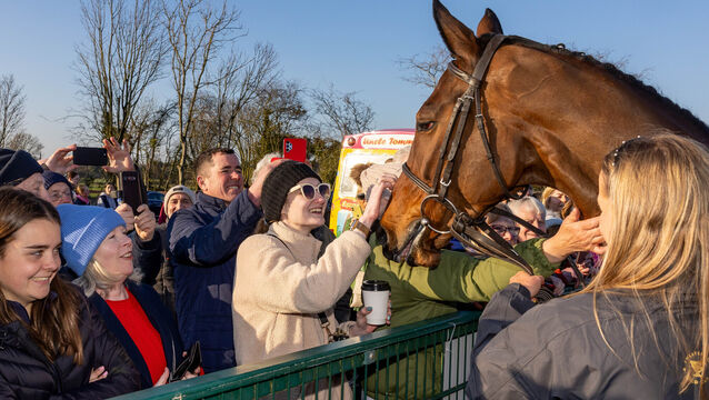 <p>HOME IS THE HERO: Cheltenham Gold Cup hero Inothewayurthinkin is greeted by his supporters at Skryne GAA Club on Tuesday afternoon. 	 Picture: Morgan Treacy/Inpho</p>