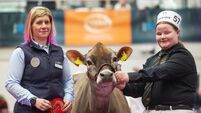 Paula Hynes: Delight at Dairy Expo and seeing calf sheds emptying